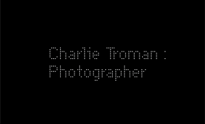 TwoSheds - Branding design - Charlie Troman logo